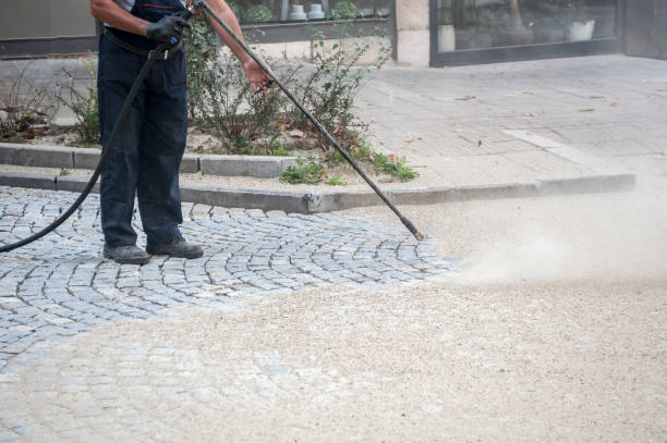 Best Animal Enclosure Cleaning  in Las Palmas Ii, TX